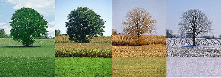 《子弹风暴VR》宣布将额外包含两个新女主个人关卡